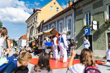 Sejem lokalnih organizacij za povezovanje skupnosti (3)